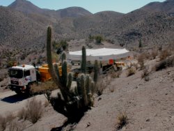 On the way to Pachon, cactus