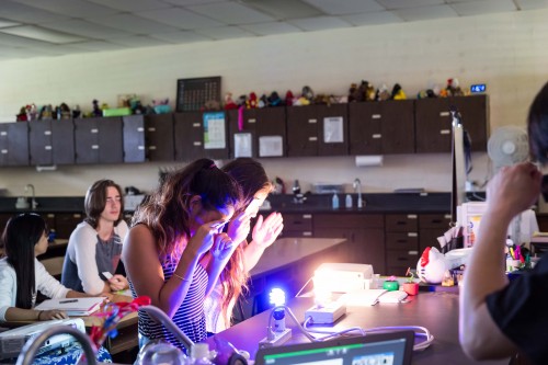 Hilo High students observe various light sources through filters that separate the light into a rainbow of colors.