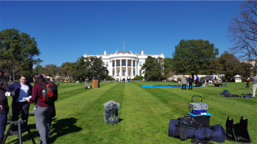 The invited groups started setting up their booths on the northern part of the lawn.