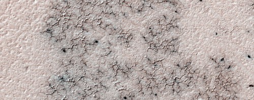 New location on Mars identified by the Planet Four: Terrains project shown to have spiders. Image Credit: NASA/JPL/University of Arizona