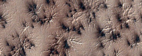 A different kind of spider. These pits with radiating channels spotted on the South Pole of Mars have been dubbed 'spiders' due to their appearance. These channels are thought to be carved into the surface by the repeated cycle of deposition and sublimation of a seasonal carbon dioxide ice cap each Mars year (which is just under two Earth years). Image Credit: NASA/JPL/University of Arizona