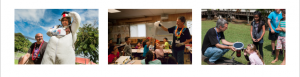 Chamber newsletter pics